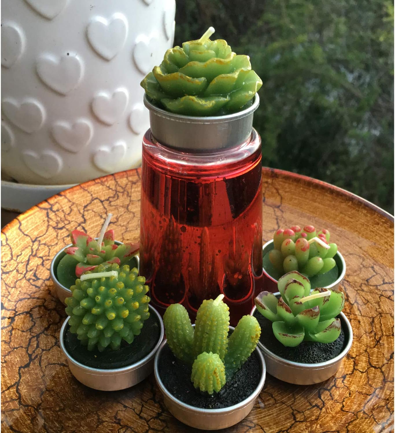 GIFTEXPRESS 18 Pcs Succulent Cactus Candles No Repeat Style, Delicate Smokeless Scented Tealight Candles for Home Décor, SPA, Wedding, Valentine's Day, Birthday Gift, Anniversary Celebration